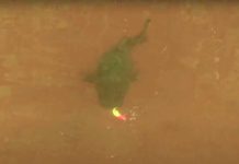 Moment of Thrill 04.02.21 – Orvis News