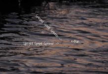 Master Class Monday: How to Fish a Spinner Fall, Introduction