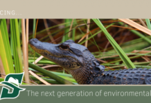 Wednesday Wake-Up Call: Everglades Day ’21 Edition