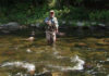 Video Pro Tips: How to Identify Good Trout Holding Water