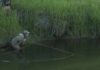 Video: The Basics of Fly Fishing, with Tom Rosenbauer