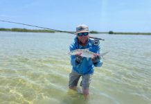 It might just be time to hit the road with fishing gear