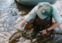 Meet the spring mayfly, blue wing olive aka the BWO