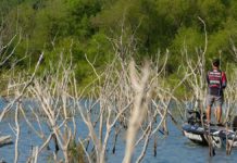 Burkhead Column Ray Roberts has changed, will provide Classic test