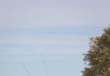 Fly Fishing with the Virginia Department of Wildlife Resources