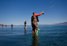 To Fish These Big Trout, Bring a Ladder
