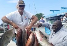 Grouper season begins while snook, bass bite still strong