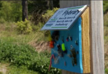 Taking the Bait at the “Flybrary” in Monroe County