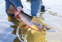 Tenkara rod Euro-nymphing | Hatch Magazine