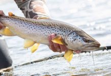 The seven deadly sins of fly fishing | Hatch Magazine
