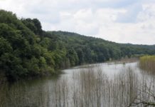 Be Local: Southwestern Pennsylvania has bevy of spots for anglers | BeLocal Network