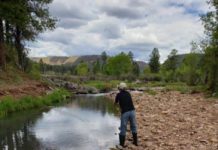 Fly lines: Everything you need to know to get fishing | Local News