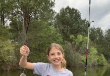 BRAD DYE: Red top clover and big bream | Outdoors