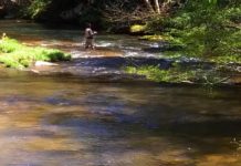 Fly Fishing in the High Country |
