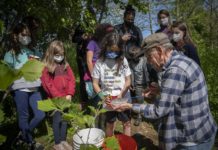 Wolfsville Elementary students release trout and learn about the environment | Elementary