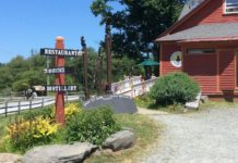 Travel: Resort Comeback Trail Catskill | Entertainment