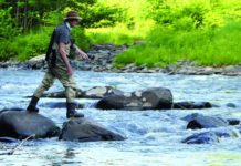 Mountain River documentary free screening at Greenville Drive-In on June 10 | The Scene