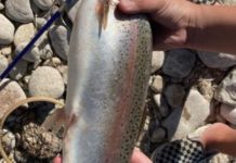 Joe’s Fishing Hole: The basics of boat etiquette | Outdoors