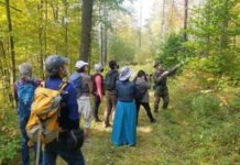 Ausable River Association announces 10 guided river tours | News