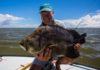 Fishing for Tripletail heats up along SC, Georgia coasts | Fishing
