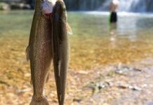 Online fly fishing film festival opens Thursday