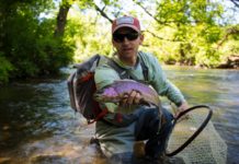 Beginner Fly Fishing Tips on How to Catch Trout