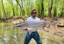 Tennessee fisherman discovers 55-pound prehistoric fish