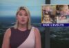 “Child abuse needs to stop, it never needs to happen,” bikers hold memorial ride for Evelyn Boswell and to raise awareness – WJHL