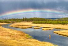 Avoiding crowds through better casting | Hatch Magazine