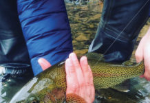 Fly Fishing in Waynesboro, Va.