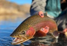 Should You Fish Redds, or Even Target Spawning Trout?