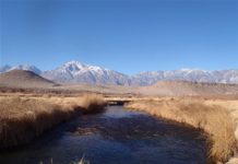 2021 Owens River Annual Clean Up held May 1 was one of most successful yet!