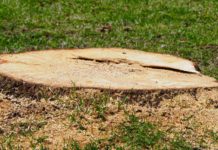 The winds of change | Hatch Magazine