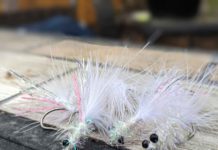 The Schminnow: ‘The only fly you need’ | Hatch Magazine