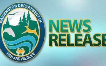 North Fork Nooksack River to open for hatchery spring Chinook – Dailyfly.com Lewis-Clark Valley Community