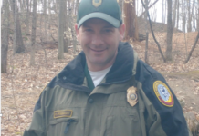 Writing On the Fly Meets North Woods Law