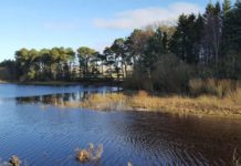 Edinburgh anglers who kill more fish than permitted threatened with lifetime ban