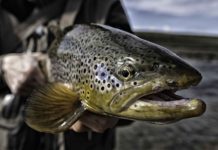 Different strokes for different anglers | Hatch Magazine