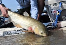 Pro Tips: How to Catch Grass Carp on the Fly