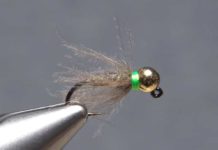 Video: How to Create a CDC Collar