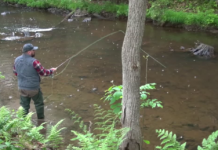 Fishing tournament honors fallen veterans