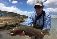 Pro Tips: Top 10 Flies for Stillwater Trout