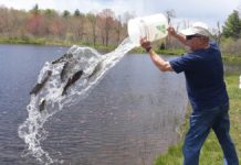 Anglers learn about climate change at Mount Grace fly-fishing workshop