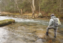 Tuesday Tips: “Hit the Head” for More Trout