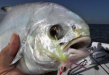 Tips on How to Fly Fish for Pompano