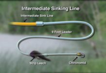 Video Pro Tips: How to Catch Trout in Lakes