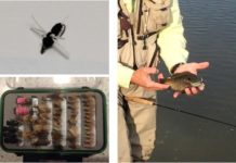 Learn fly tying at KWEC