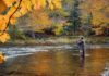Casting passion: What is fly-fishing’s allure?