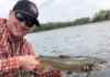 Podcast: Unraveling the Secrets of Stillwater Fly Lines, with Phil Rowley
