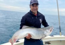 Illinois Angler Catches Record Lake Trout